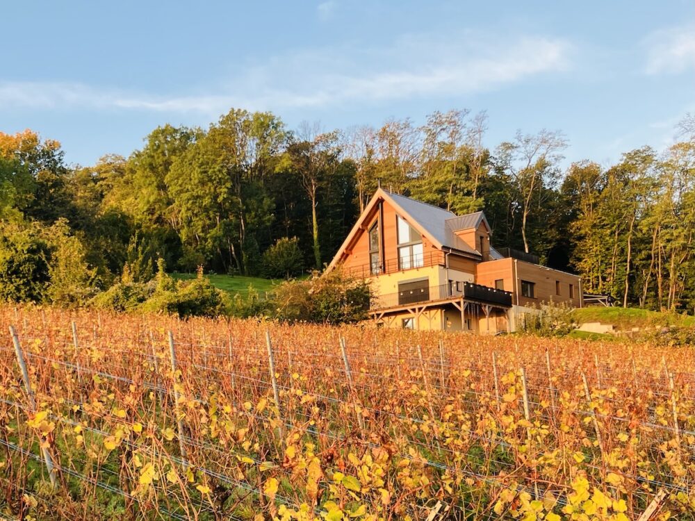 Chalet des Vignes for sale