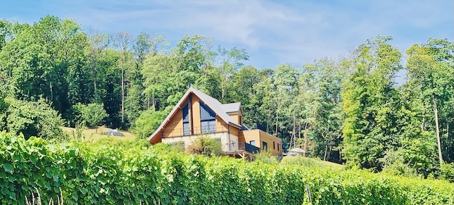 Chalet des Vignes Ribeauvillé homepage Bed and Breakfast